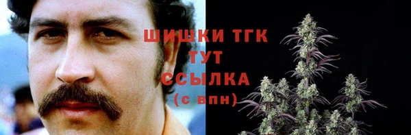 крисы Белокуриха