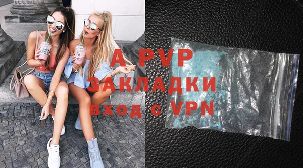 крисы Белокуриха