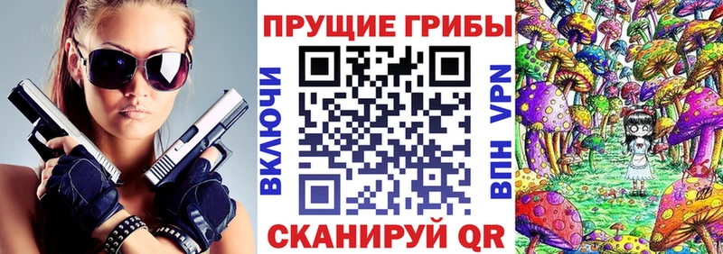 Галлюциногенные грибы Psilocybe kraken онион Короча хочу